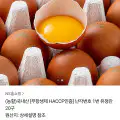 "[카카오]국내산 [무항생제 HACCP인증] 난각번호 1번 유정란 20구 (9,200원/무료)" 상품의 대표 이미지