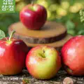 "[롯데온]26년 햇 루비에스 미니사과 2kg (11,400원/무료)" 상품의 대표 이미지
